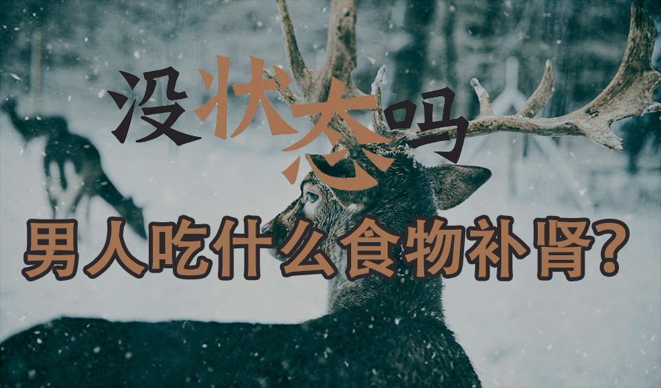 男人吃什么食物補(bǔ)腎？